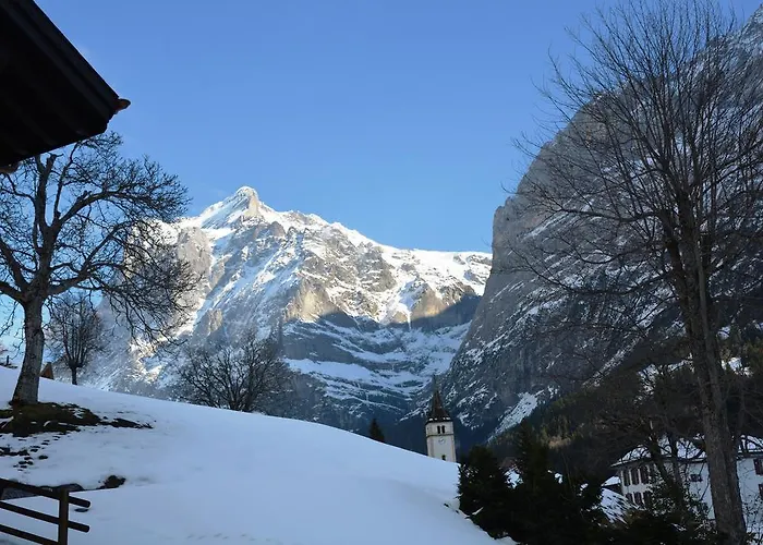 Daire Fortuna 5.5 - Griwarent Ag *